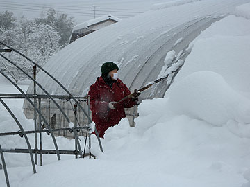 ハウス除雪.jpg